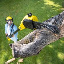 Best Lawn Grading and Leveling  in USA